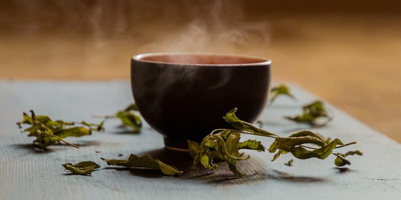 Why does green tea make you poop?